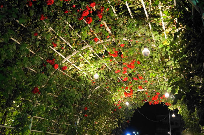 a0206496_21371142.jpg