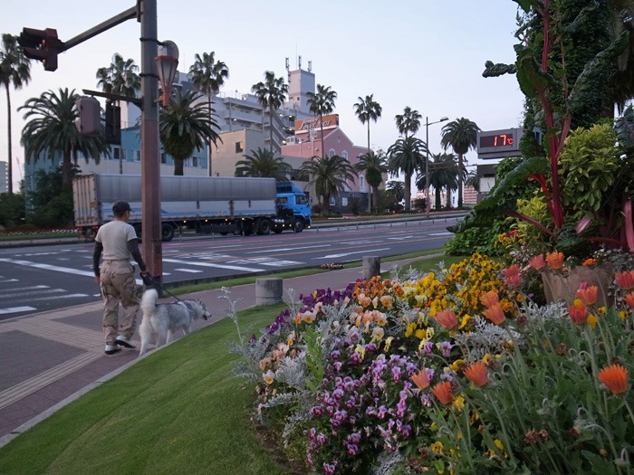c0049299_2214176.jpg