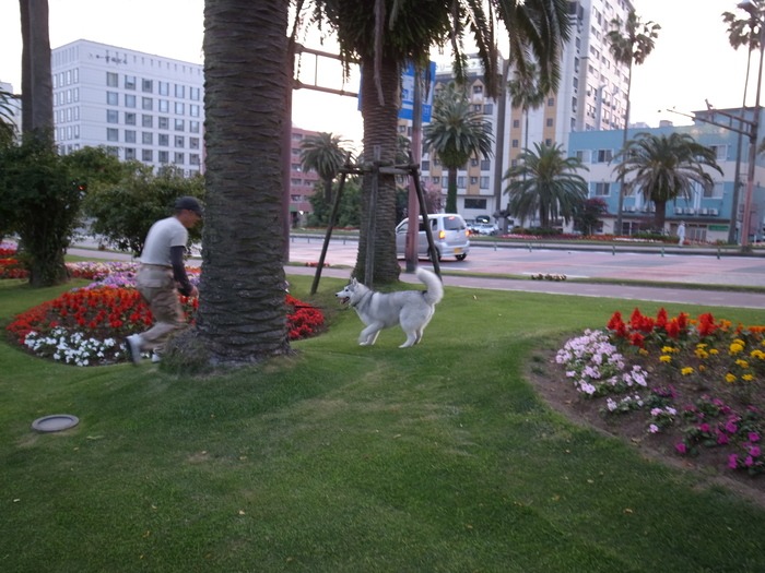 c0049299_22164419.jpg