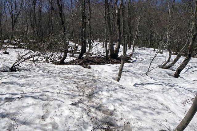 e0137200_18241371.jpg