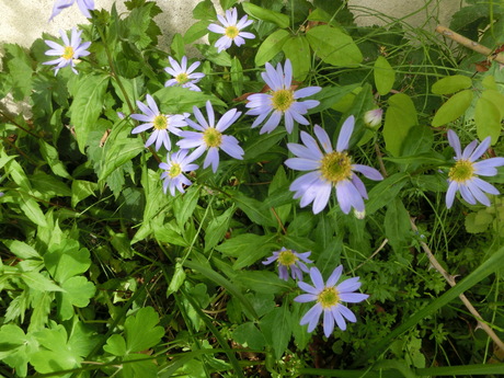 a0203003_859567.jpg