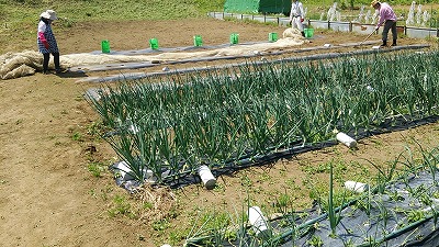 e0270403_14582088.jpg