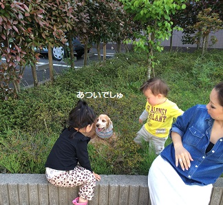 a0134004_1542221.jpg