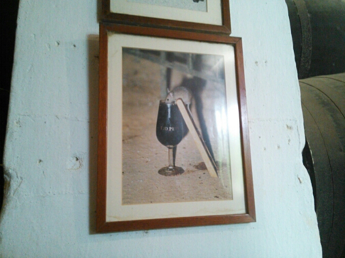 c0212604_231778.jpg
