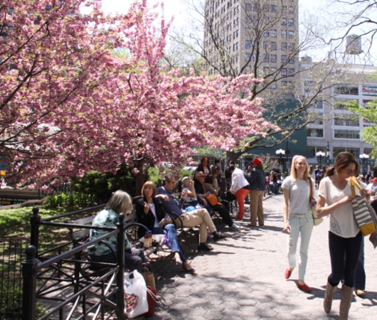 NYユニオン・スクエアの桜とかわいい春の妖精_b0007805_654737.jpg