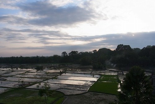 \'14年春バリ Day29～31は またまた塔の上へ。(GW後半Ubud編・その1）_f0319208_15384870.jpg