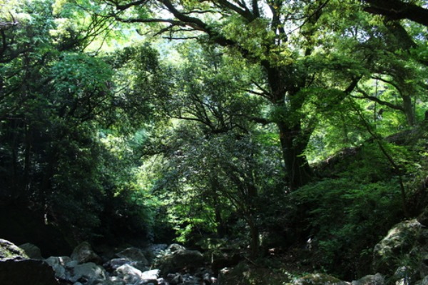 c0178009_1813997.jpg
