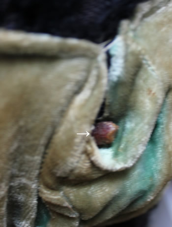 e0037611_18251565.jpg
