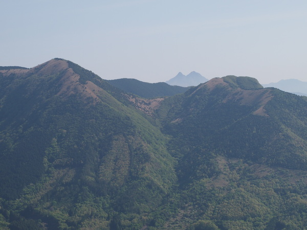 d0198313_8573634.jpg
