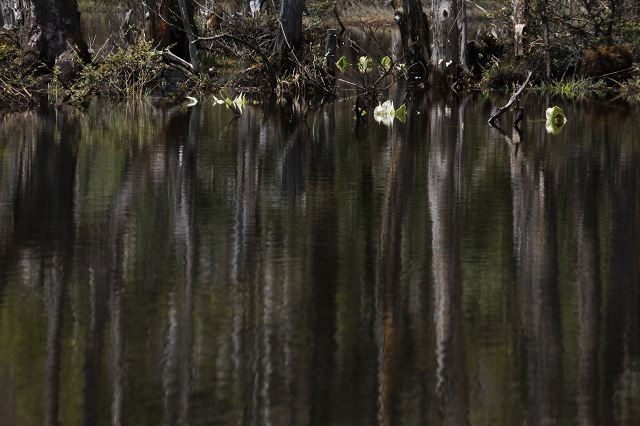 e0242721_8193265.jpg