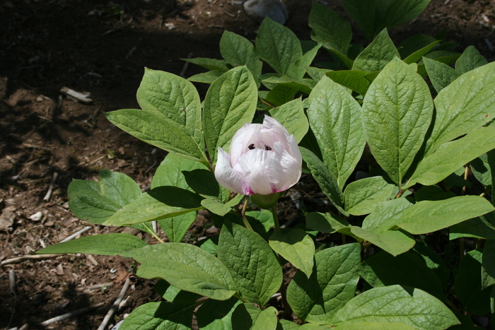 f0193521_12103062.jpg