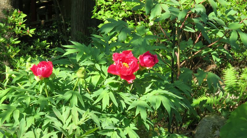 a0022024_1914167.jpg