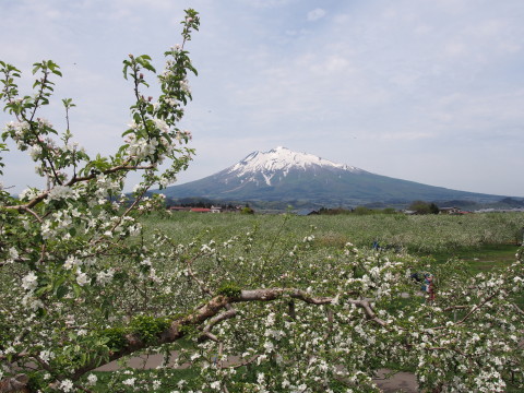b0147224_20574442.jpg