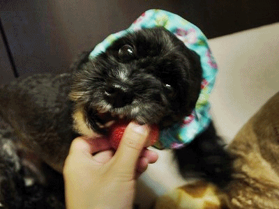 f0326925_22292208.gif
