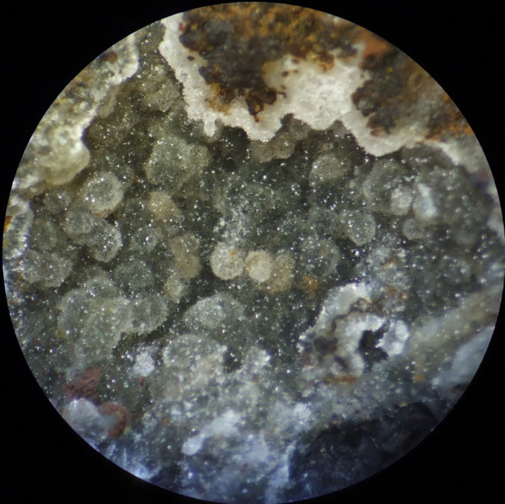 d0045626_2134862.jpg