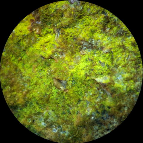 d0045626_21442748.jpg