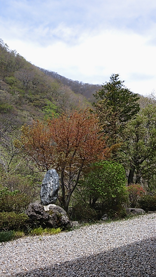 若葉と花々!_c0213830_13273519.jpg