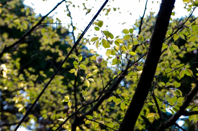 f0029038_22534881.jpg