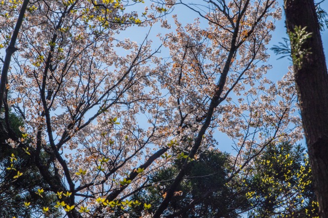f0029038_2311317.jpg