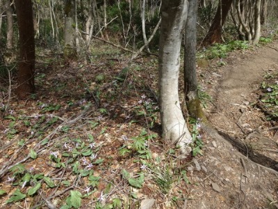e0110940_2374888.jpg