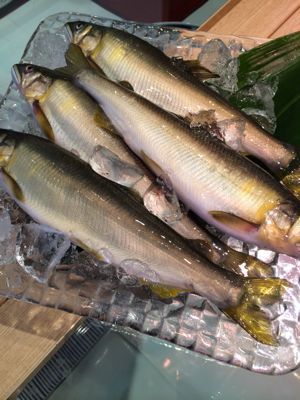 鮎の干物始まりました 作り方 根津松本 番長 鈴木勇治による 魚の美学 鮎の干物始まりました 作り方 根津松本 番長 鈴木勇治による 魚の美学