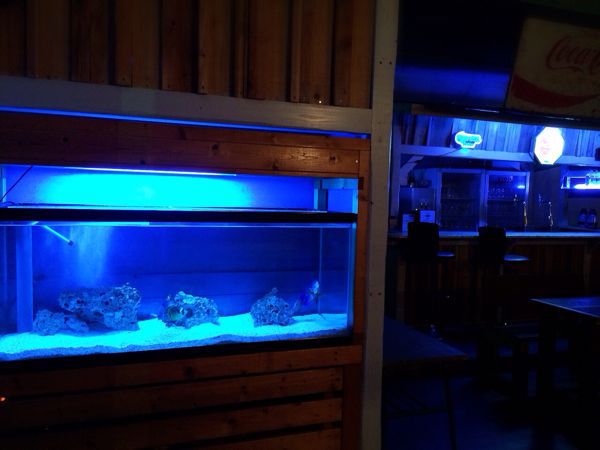 飲家帝国ビルガバンバ_e0292546_557914.jpg