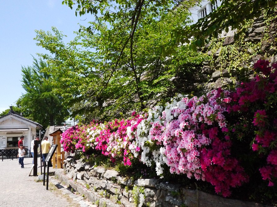 　　和歌山城公園にて_b0093754_1628356.jpg