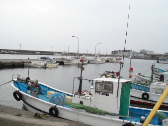f0329554_15384378.jpg
