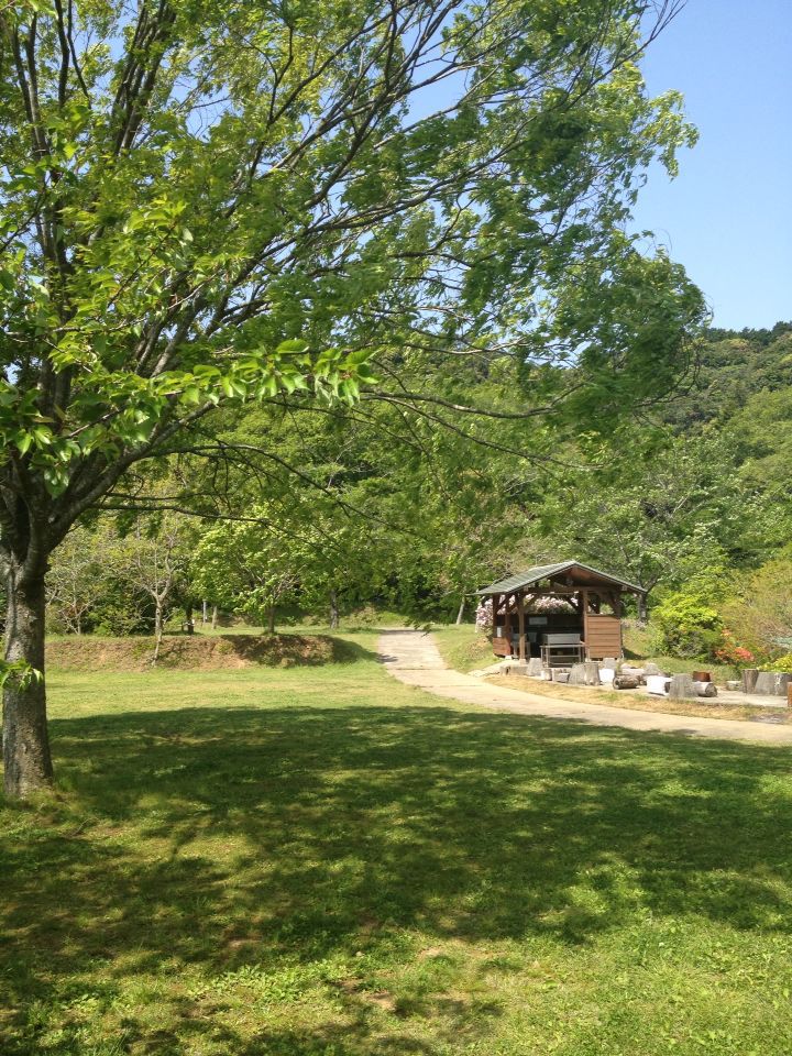 b0008655_7481874.jpg