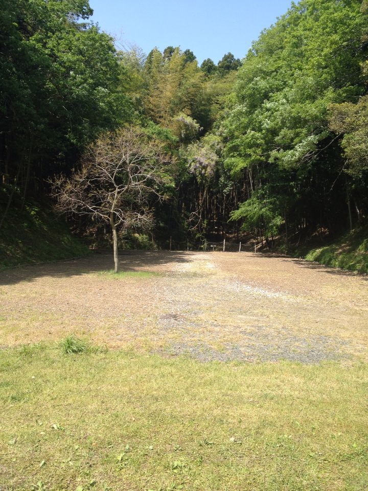 b0008655_7482142.jpg