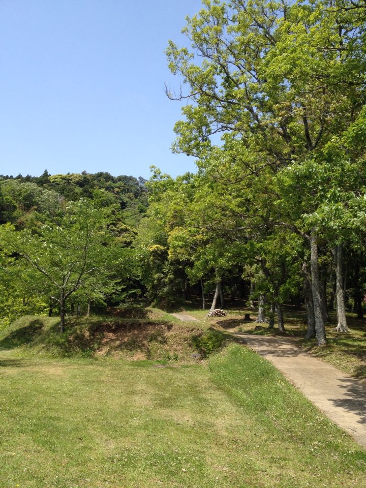 b0008655_7482818.jpg