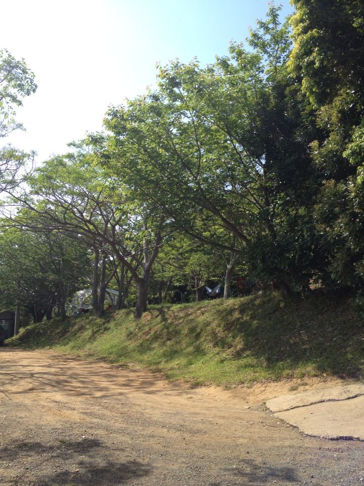 b0008655_748589.jpg