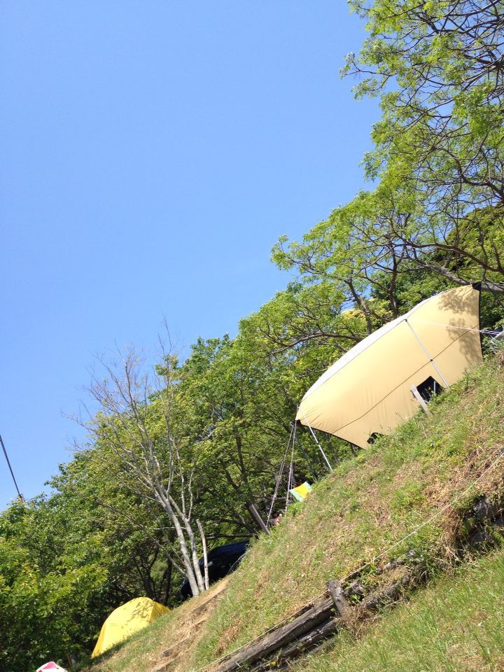 b0008655_7492495.jpg