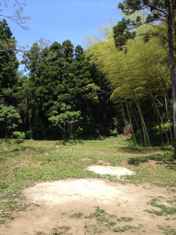 b0008655_7492833.jpg