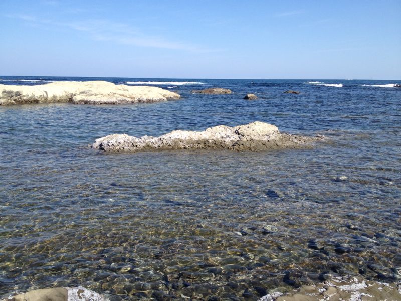 b0008655_749374.jpg