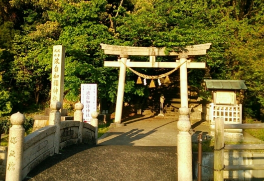 はじかみ神社参詣と 山菜・薬草ウオーク(下見)_f0339955_08021571.jpg