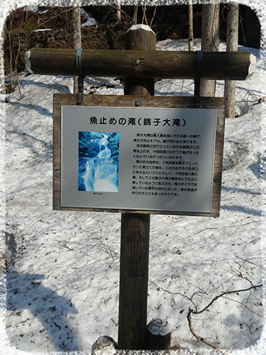 e0306962_12334555.jpg