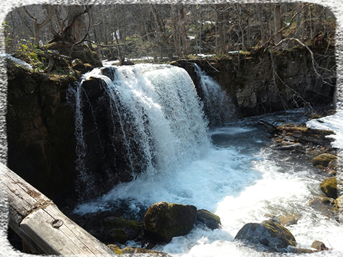 e0306962_1234070.jpg