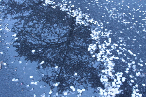 e0287981_22464810.jpg