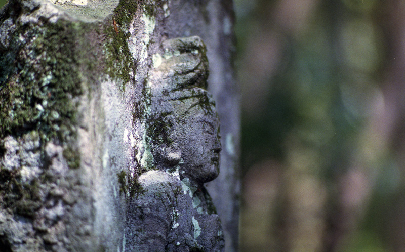 函南 桑原西国三十三所観音霊場  その二  OM-1_c0116284_201582.jpg