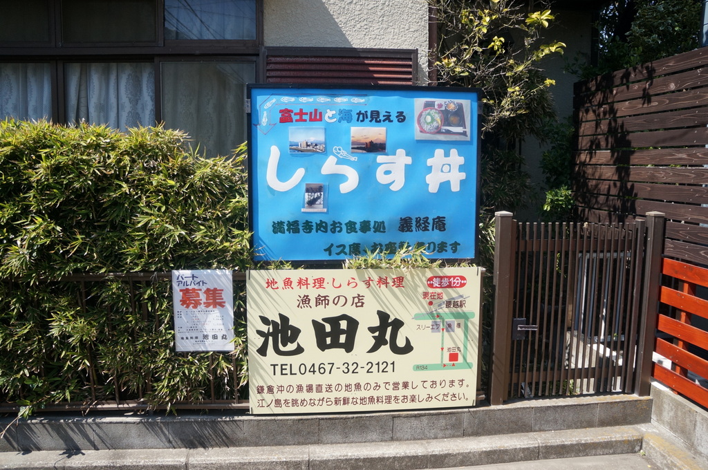 帰国日記@伯林2014 鎌倉湘南編の最後は江ノ島界隈で。_c0180686_19082218.jpg