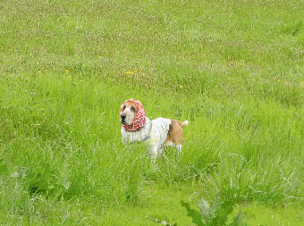 f0205887_1902295.gif