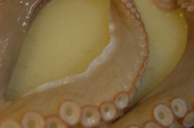 1/8 の足_d0268290_611247.jpg