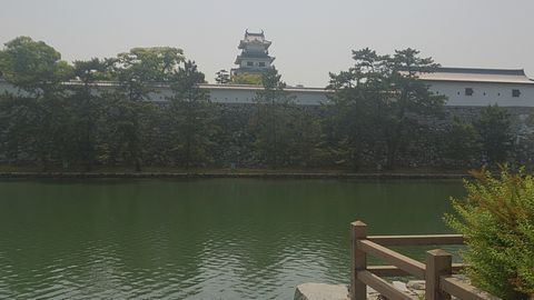 c0154691_1754892.jpg