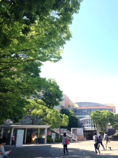 NPO現代レイキの会の総会&レイキ交流会でした_d0233891_13373845.jpg