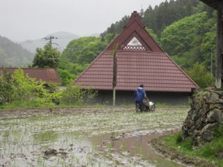 田植え_c0255095_1828640.jpg