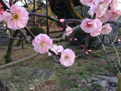 一年ぶりのカシマシオババ旅 一日目_c0191597_10431825.jpg