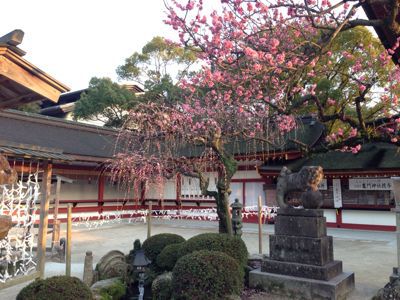 一年ぶりのカシマシオババ旅 一日目_c0191597_1043201.jpg