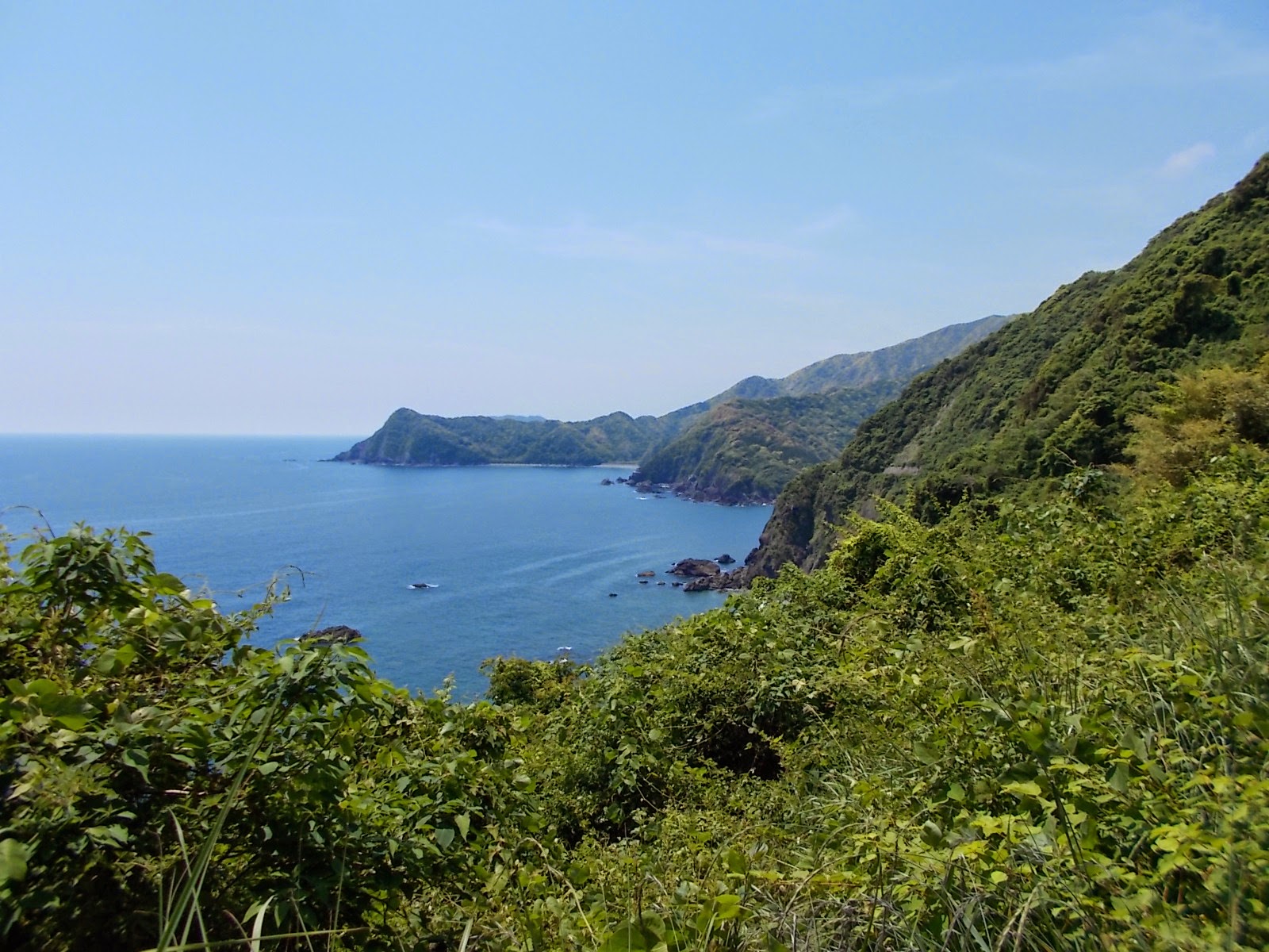 ツォンカパの中観思想: ことばによることばの否定 | 四津谷 孝道