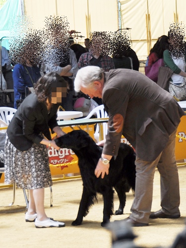 ’14 FCI近畿インタードッグショー_f0176499_20132160.jpg